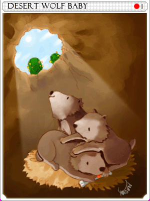 Carta Filhote de Lobo do Deserto