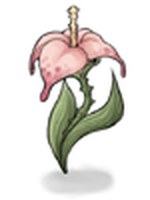Flor Selvagem
