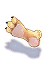 Pata de Tigre