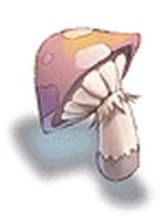 Cogumelo Borrachento