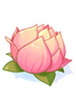 Flor de Lótus