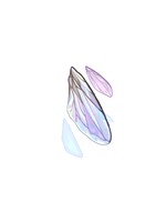 E Giant Fly Wing