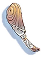 Atordoador