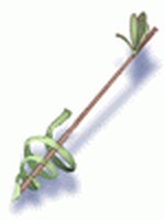Flecha de Vento