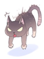 Gatinho Ranzinza