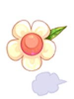 Flor Amável Branca