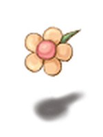 Florzinha [A]