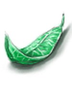 Erva Verde
