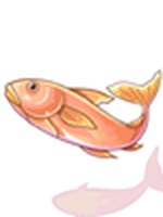 Peixe Fresco