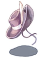 Chapéu de Cowboy Roxo