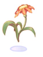 Flor