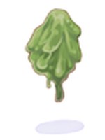 Ectoplasma