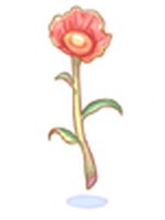 Flor Celestial