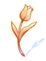 Flor Fantasma