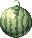 Ripe Watermelon